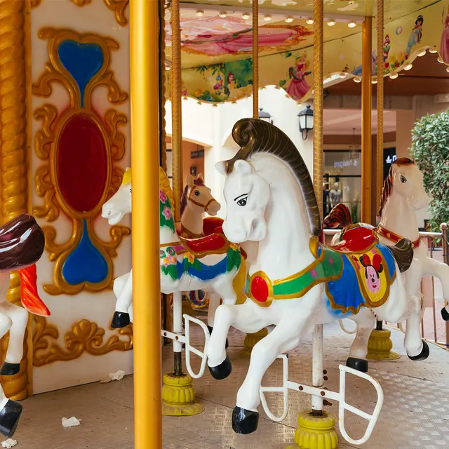 12-местная карусель «Океан» - подробное фото 4 | JH Amusement