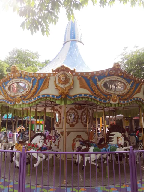Deluxe Carousel (Real Scene) - detail photo 3 | JH Amusement