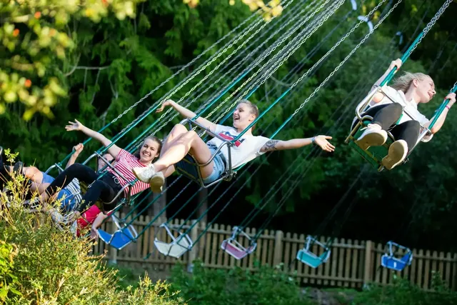 Balançoire familiale - photo détaillée 1 | JH Amusement