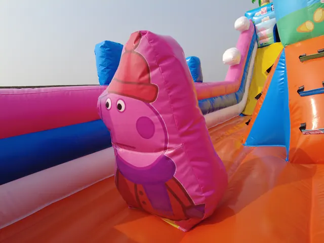 6x10 m Piggy Inflatable Outdoor - detail photo 1 | JH Amusement
