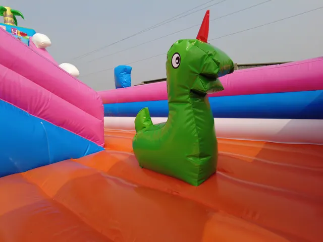 6x10 m Piggy Inflatable Outdoor - detail photo 2 | JH Amusement