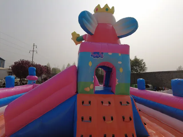 6x10 m Piggy Inflatable Outdoor - detail photo 4 | JH Amusement