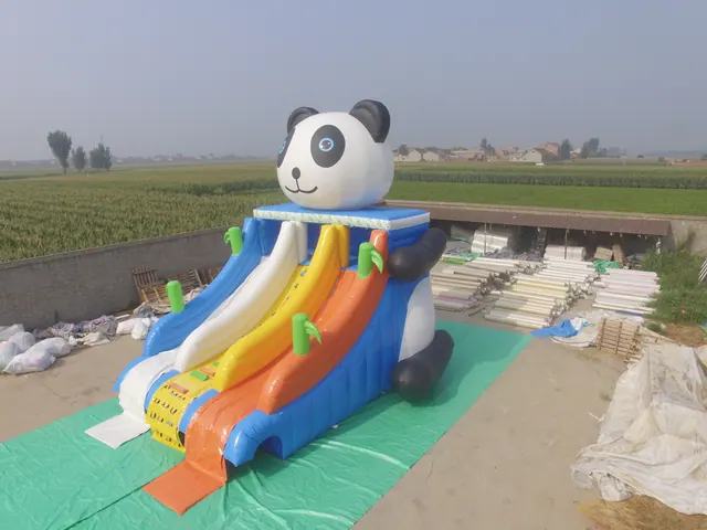 Toboggan aquatique Panda avec avion gonflable - photo principale du produit | JH Amusement