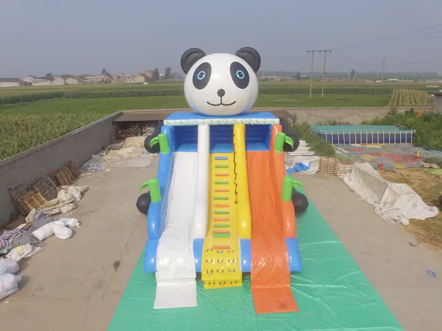 Panda Water Slide with Plane Inflatable - detail photo 2 | JH Amusement