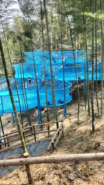 Parque de cuerdas de aventura entre árboles - foto de detalle 2 | JH Amusement