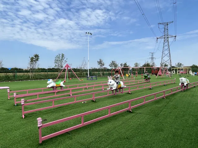 Piggy Dash, un tour sur piste non motorisé - photo détaillée 1 | JH Amusement