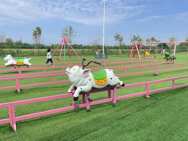 Piggy Dash, un tour sur piste non motorisé - photo détaillée 3 | JH Amusement