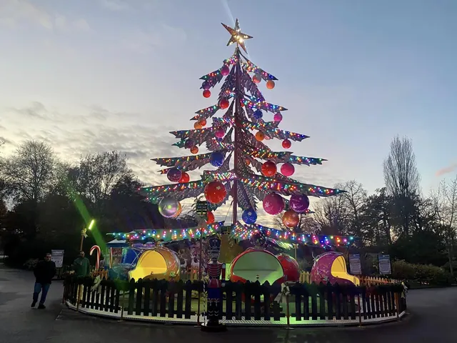 Самолет самоконтроля «Рождественская елка» - подробное фото 4 | JH Amusement