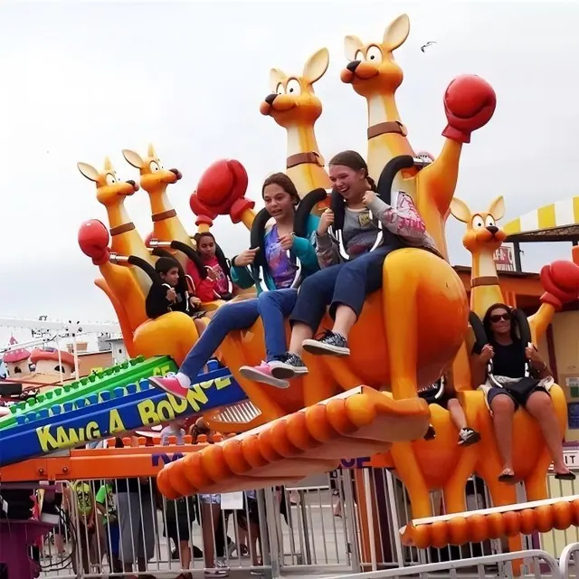Avión autoguiado salto de canguro - foto de detalle 4 | JH Amusement