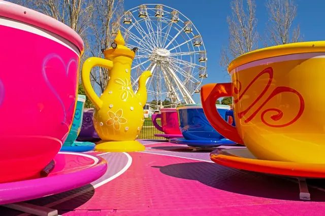 Tea Cup Rides manufacturer - JH Amusement