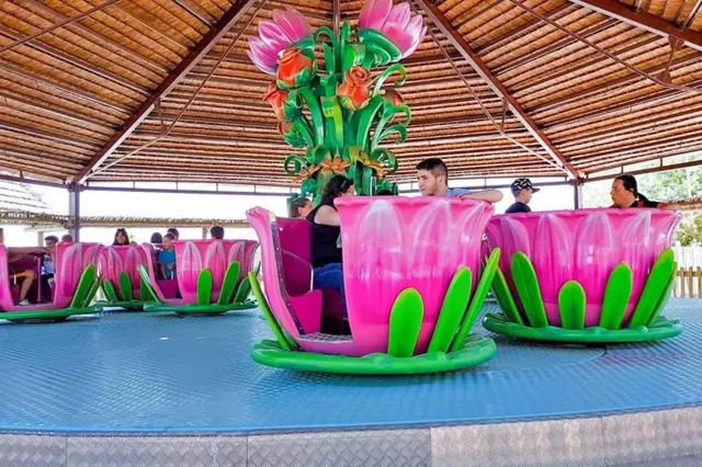 ركوب أكواب الرقص - الصورة التفصيلية 2 | JH Amusement