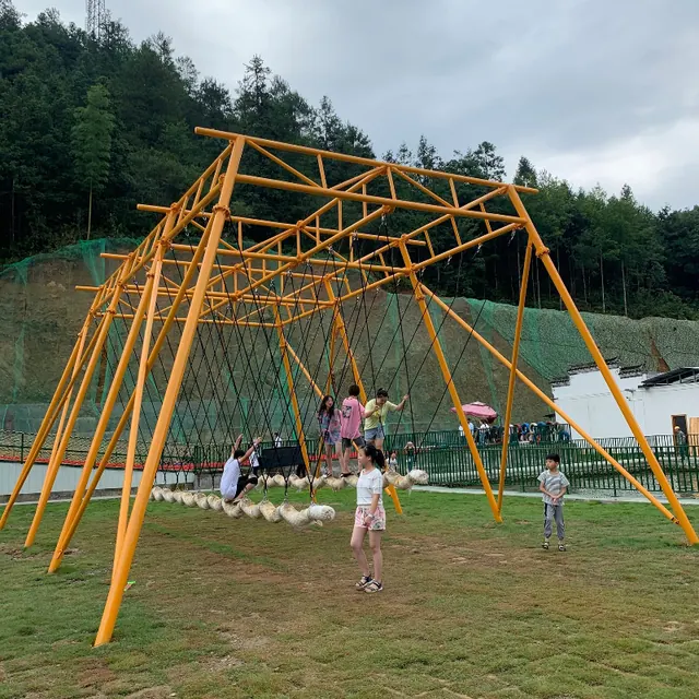 Viral Swing - main product photo | JH Amusement